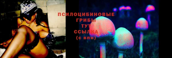 прущие грибы Вяземский