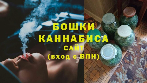 прущие грибы Вяземский