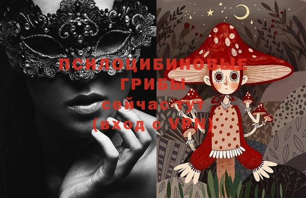 ГАЛЛЮЦИНОГЕННЫЕ ГРИБЫ Вязьма