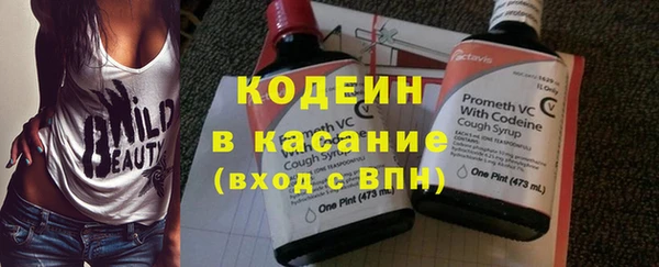 ГАЛЛЮЦИНОГЕННЫЕ ГРИБЫ Вязьма