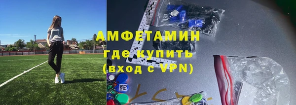 прущие грибы Вяземский