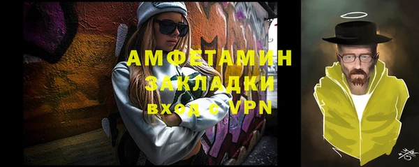 прущие грибы Вяземский