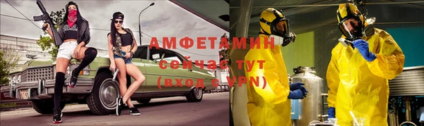 прущие грибы Вяземский