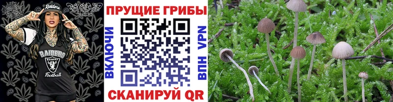 нарко площадка Telegram  где найти   Зарайск  Псилоцибиновые грибы ЛСД 